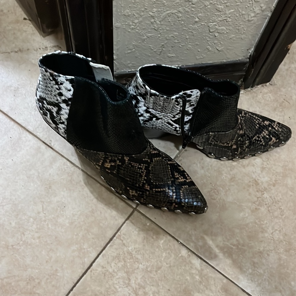 Jeffrey Campbell - Picture 4 of 4